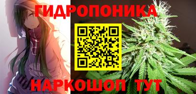 каннабис Гусиноозёрск