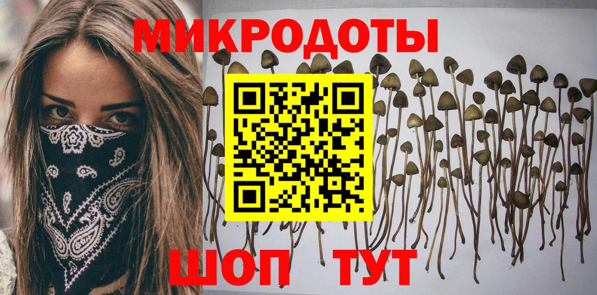 Галлюциногенные грибы Cubensis Малгобек