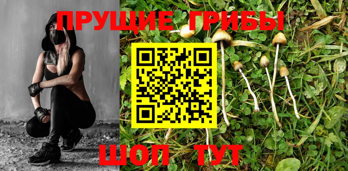 БУТИРАТ Малгобек