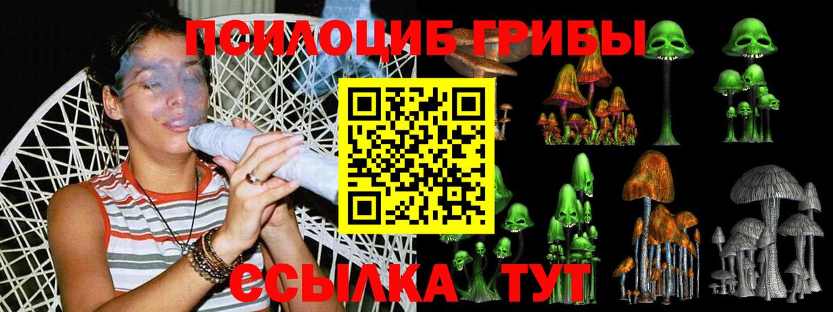 Галлюциногенные грибы Cubensis  Малгобек  Галлюциногенные грибы мухоморы 