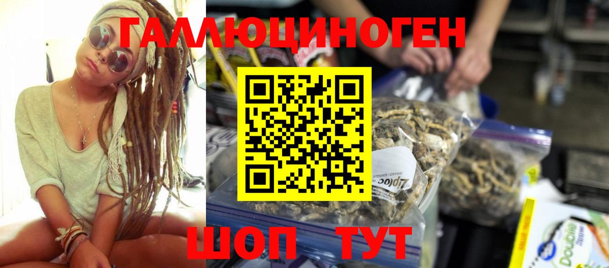 Малгобек  Галлюциногенные грибы GOLDEN TEACHER  Вход с VPN 