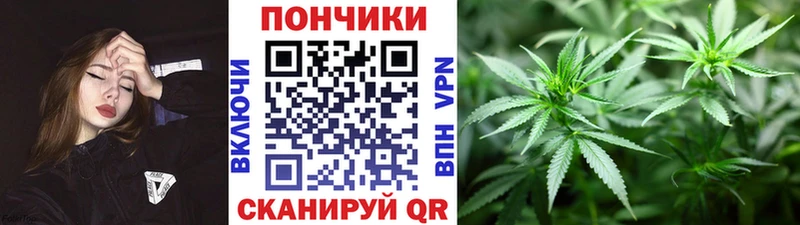 Канабис OG Kush  площадка наркотические препараты  Малгобек 